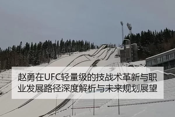 赵勇在UFC轻量级的技战术革新与职业发展路径深度解析与未来规划展望
