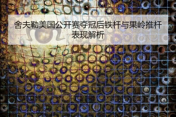 she-fu-lei-mei-guo-gong-kai-sai-duo-guan-hou-tie-gan-yu-guo-ling-tui-gan-biao-xian-jie-xi-2-656.jpg
